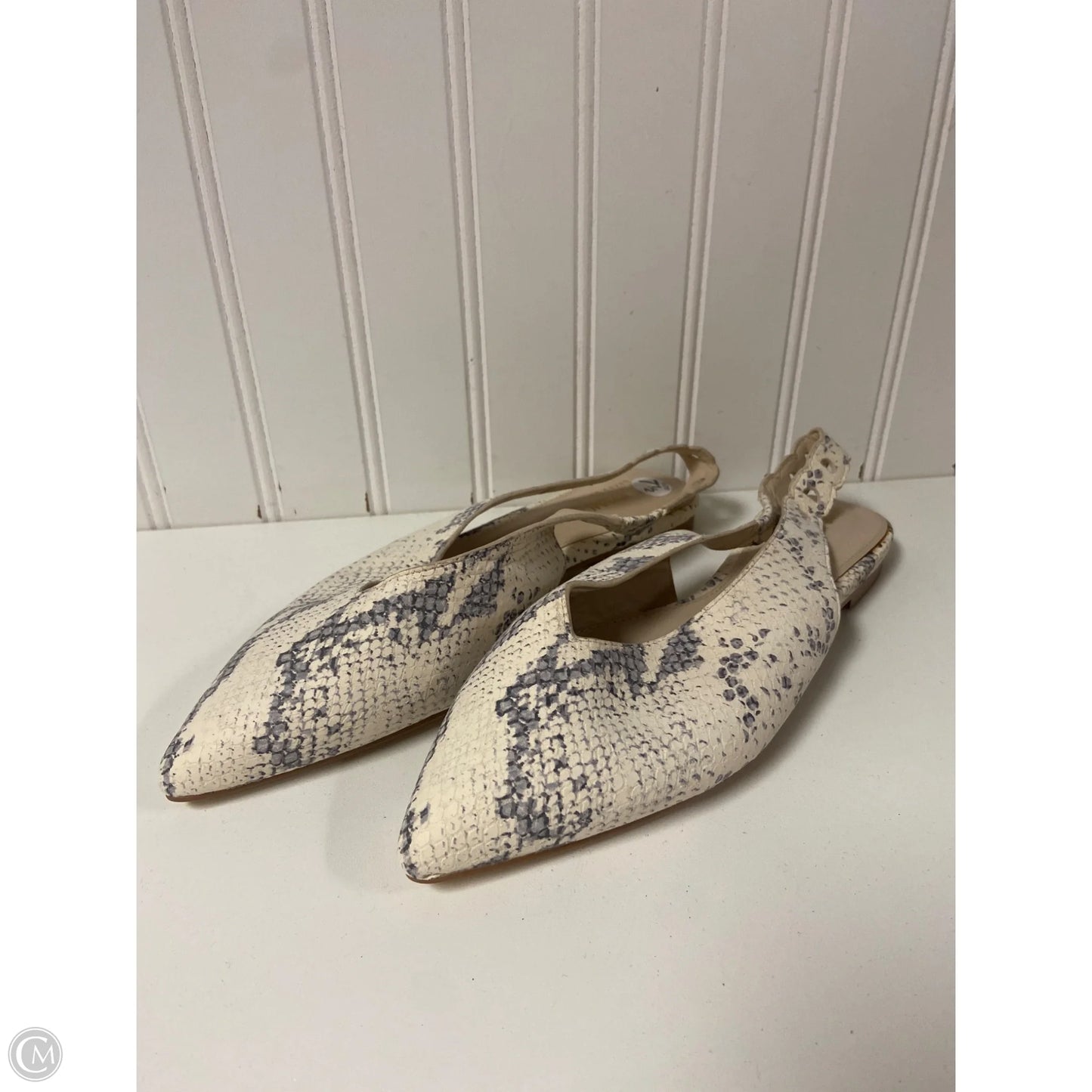 Shoes Flats By Cole-haan In Animal Print, Size: 7.5