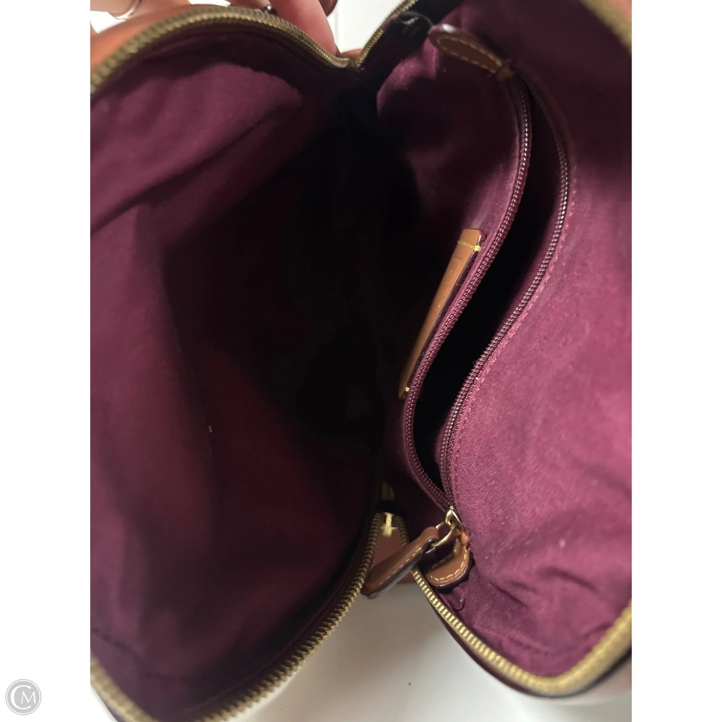 Backpack Designer By Coach, Size: Small