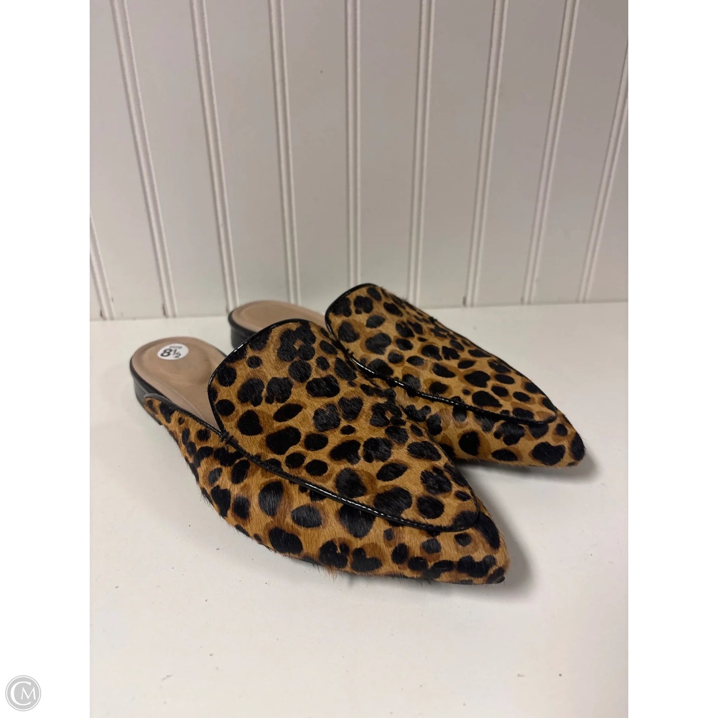 Shoes Flats By Rockport In Animal Print, Size: 8.5