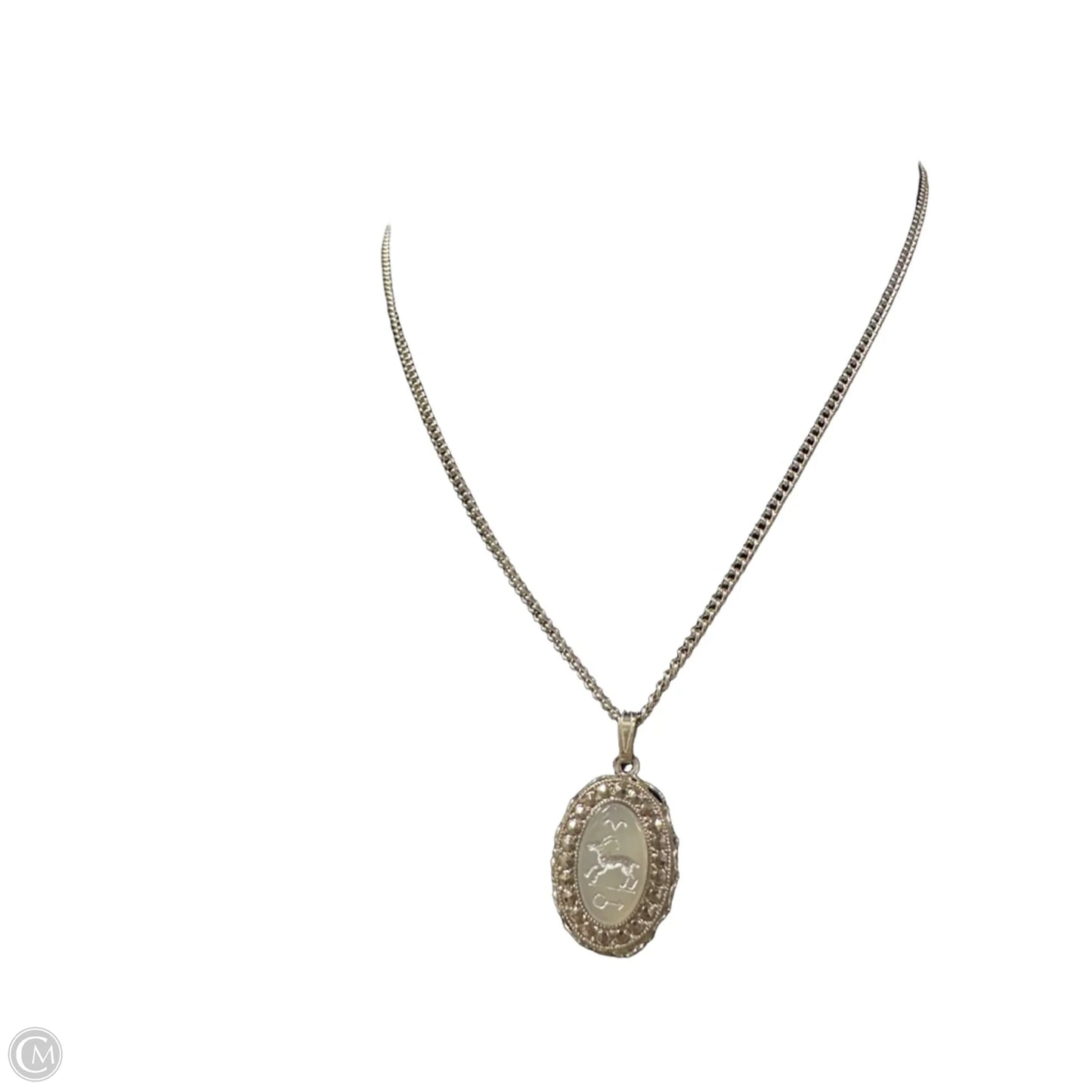Necklace Pendant By Clothes Mentor