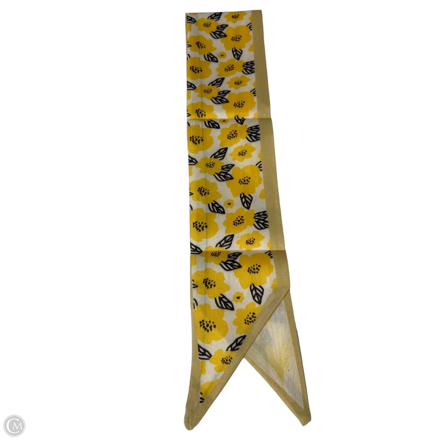 Scarf Long By Clothes Mentor