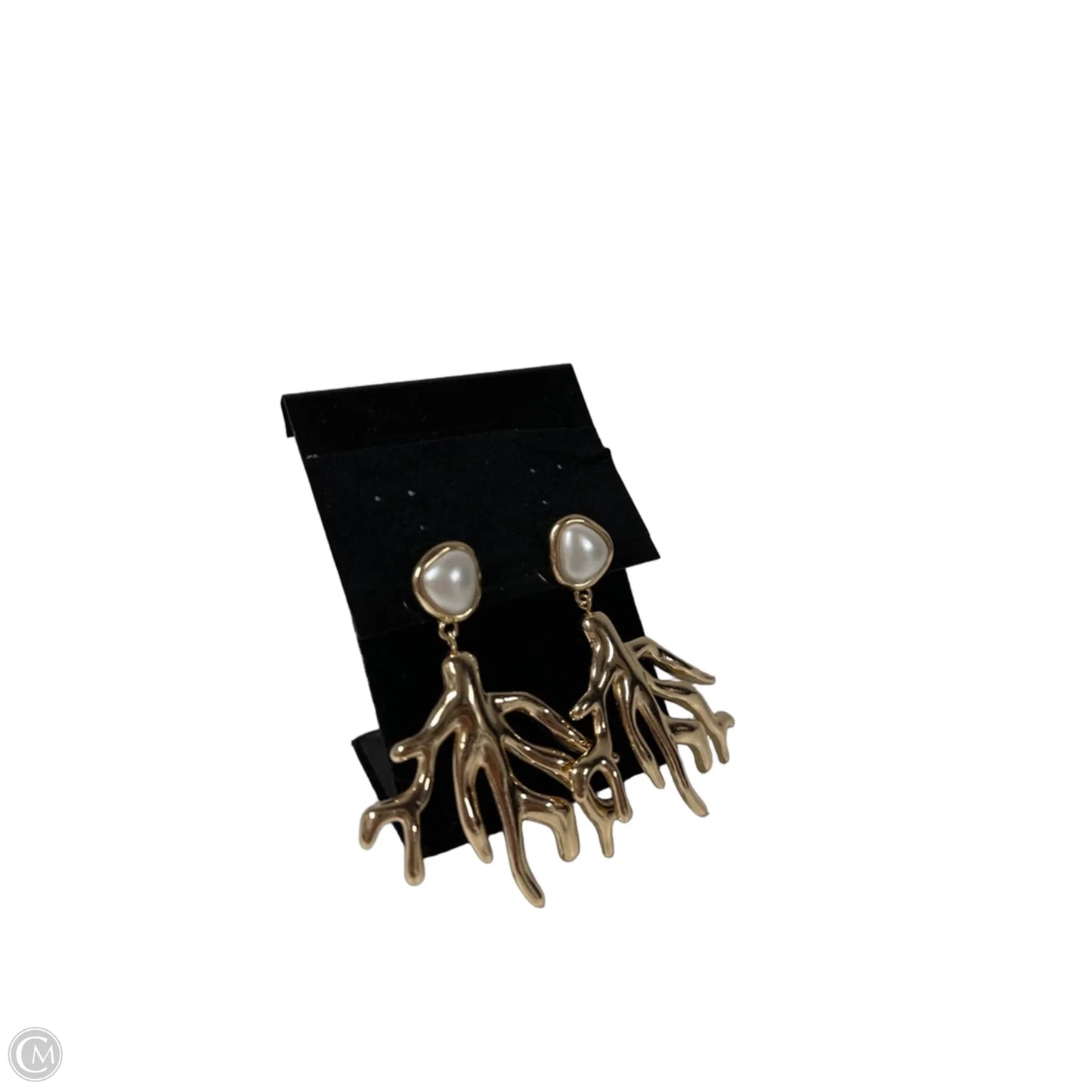 Earrings Dangle/drop By Clothes Mentor