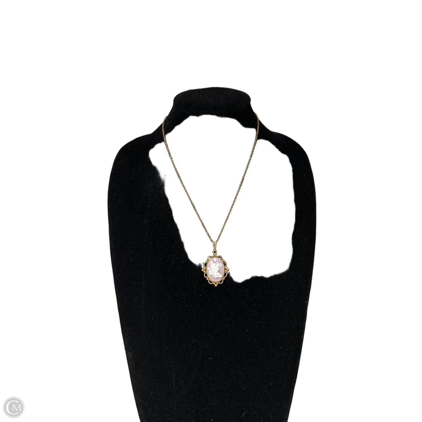Necklace Pendant By Clothes Mentor