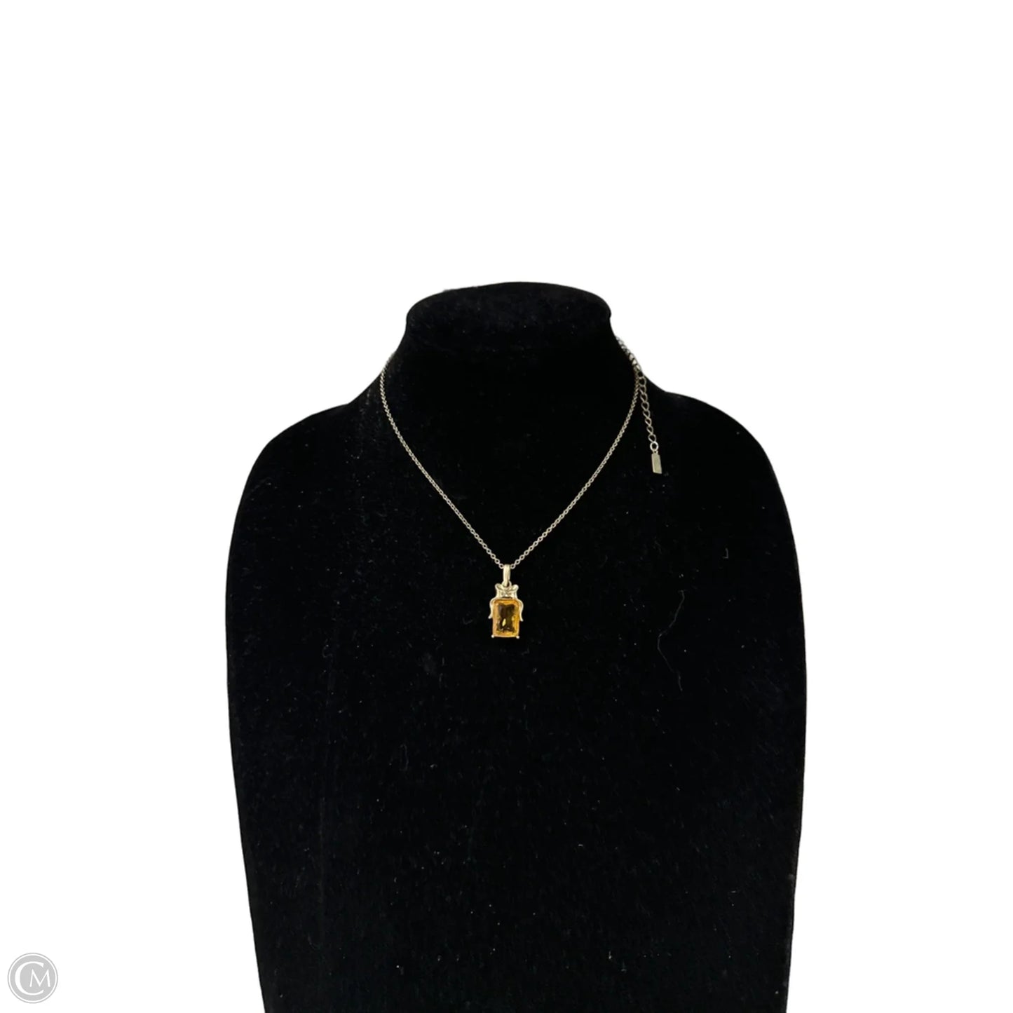 Necklace Pendant By Clothes Mentor