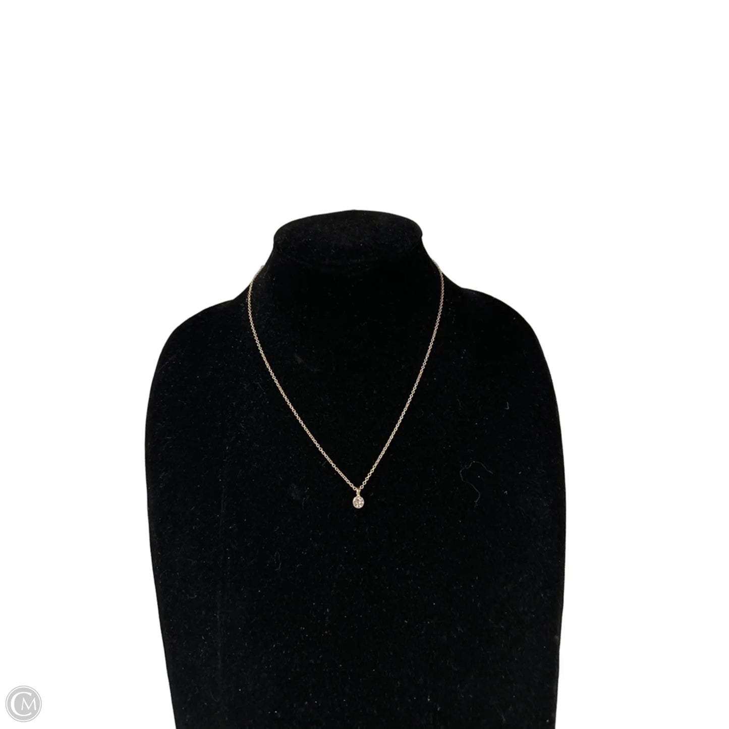 Necklace Chain By Clothes Mentor