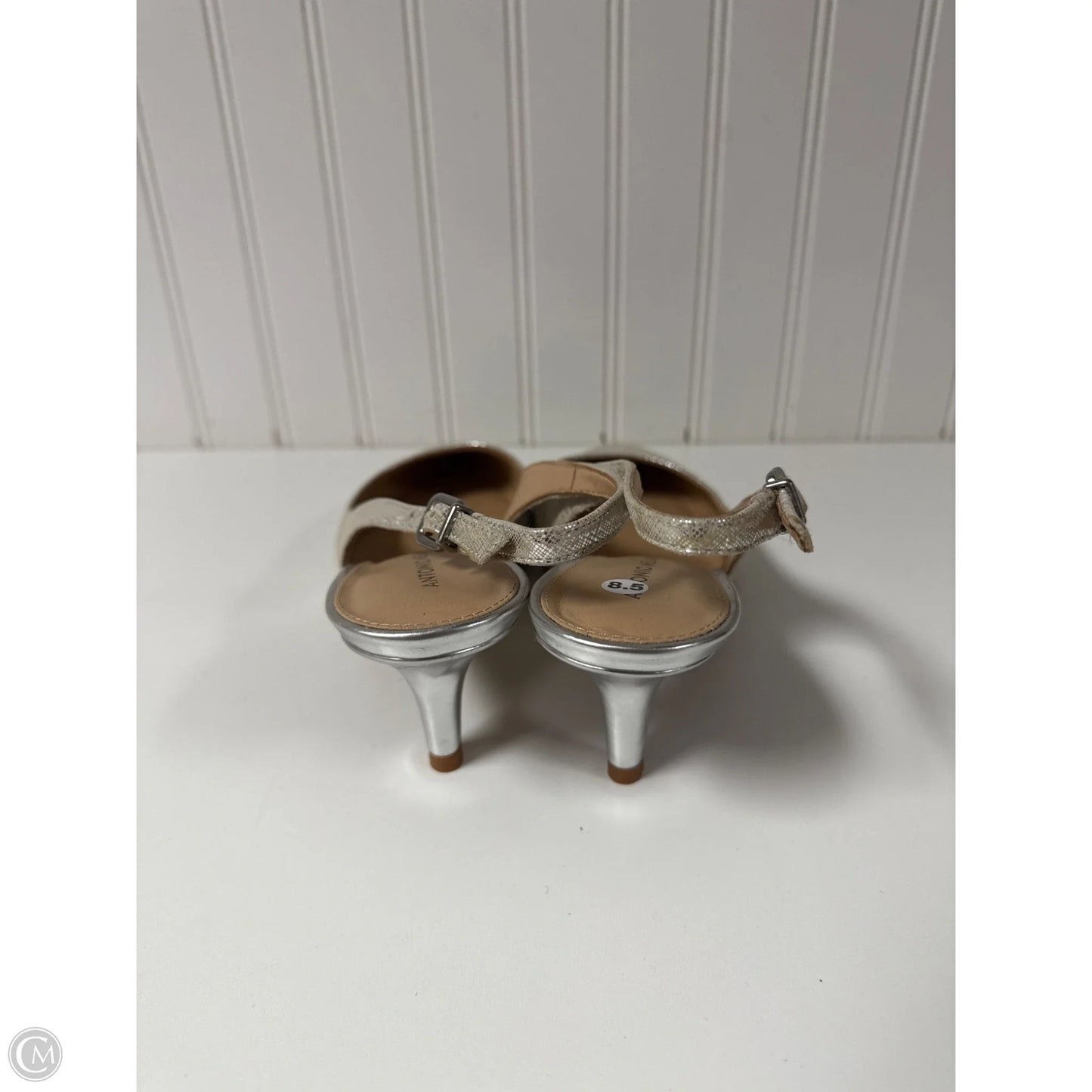 Shoes Heels Stiletto By Antonio Melani In Silver, Size: 8.5