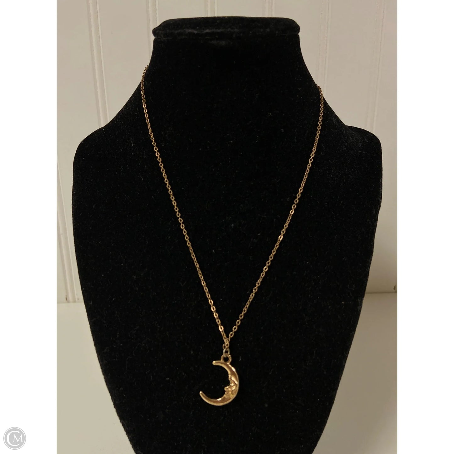 Necklace Pendant By Clothes Mentor