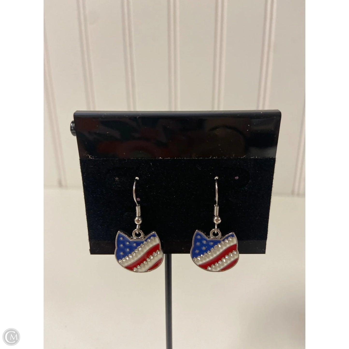 Earrings Dangle/drop By Clothes Mentor