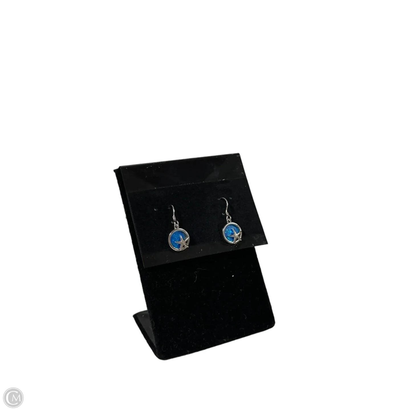Earrings Dangle/drop By Clothes Mentor