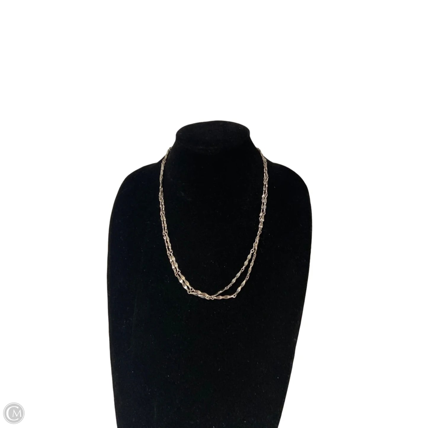 Necklace Chain By Clothes Mentor