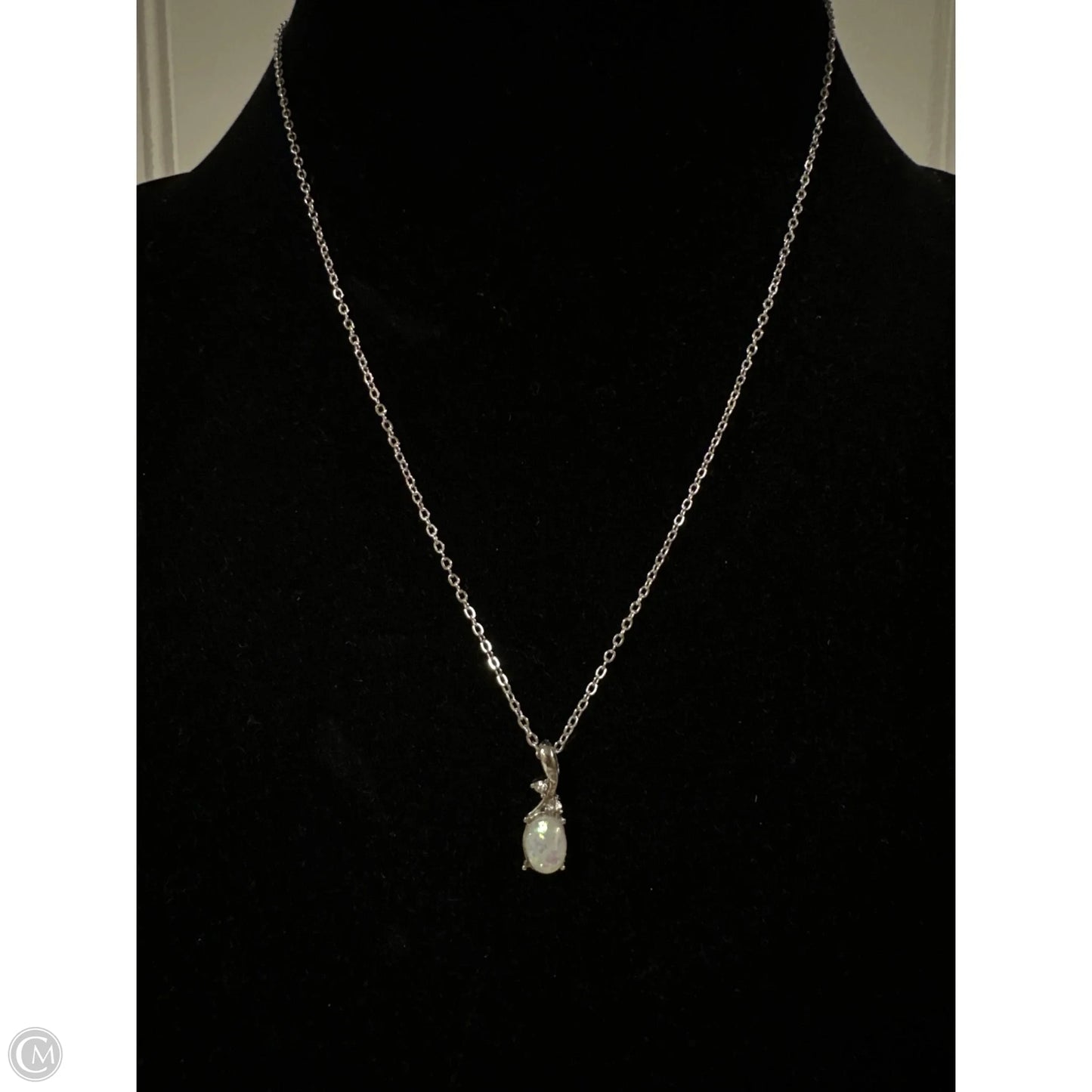 Necklace Charm By Clothes Mentor, Size: 1