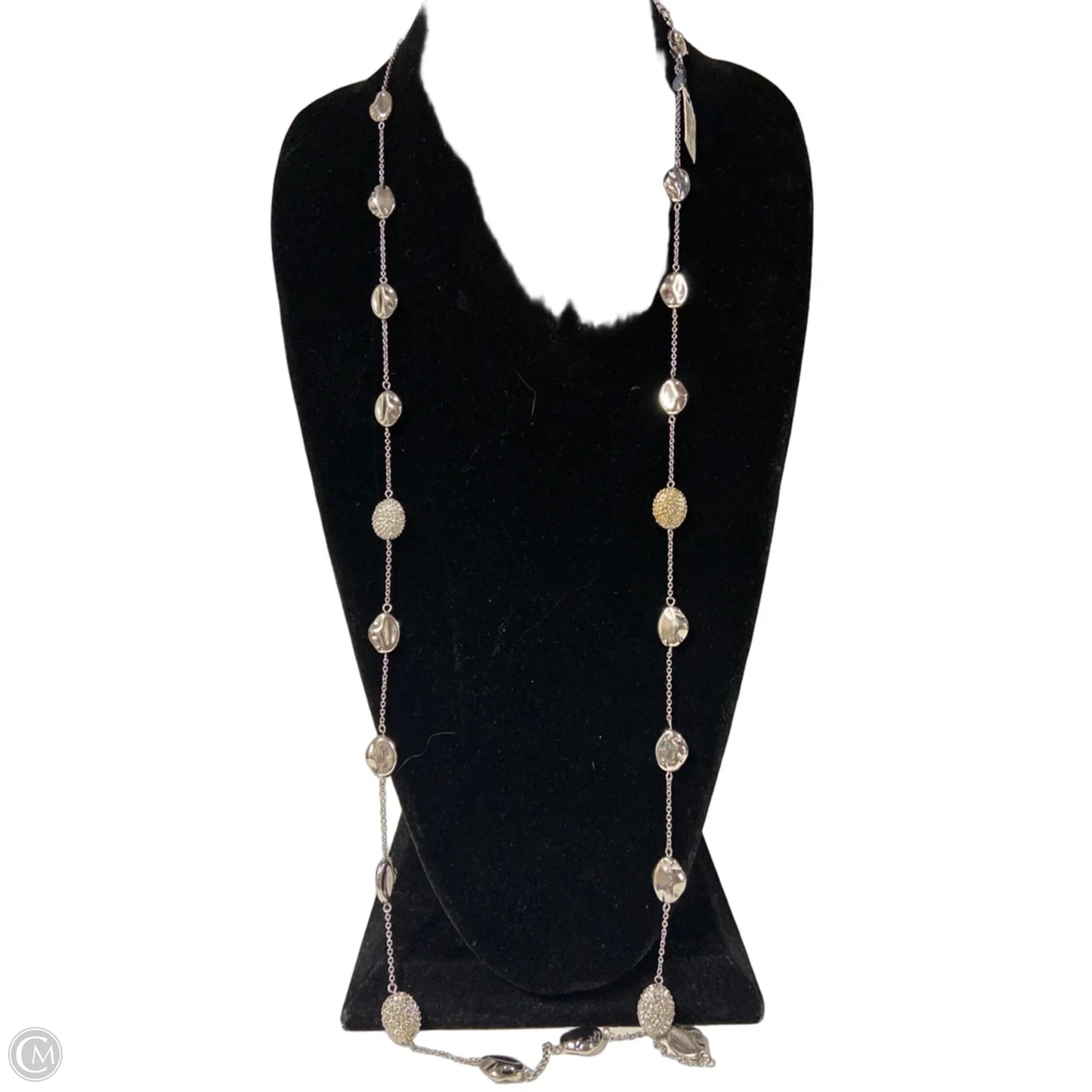 Necklace Chain By Chicos