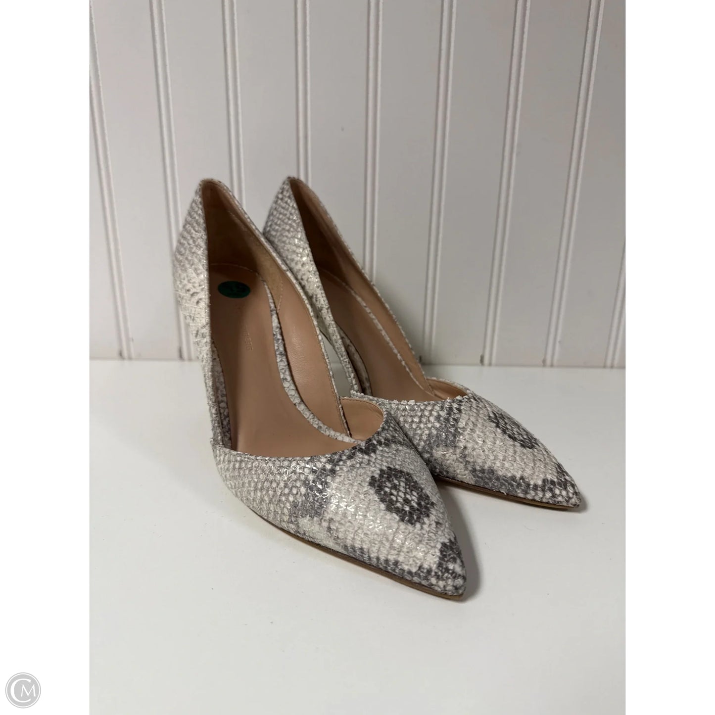 Shoes Designer By Diane Von Furstenberg In Snakeskin Print, Size: 5.5