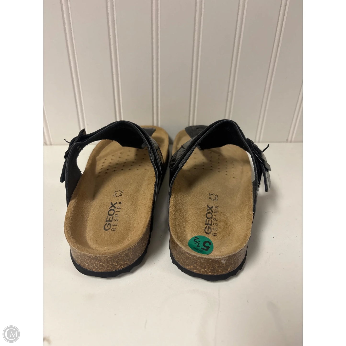 Sandals Flip Flops By Geox Shoes In Black, Size: 5.5