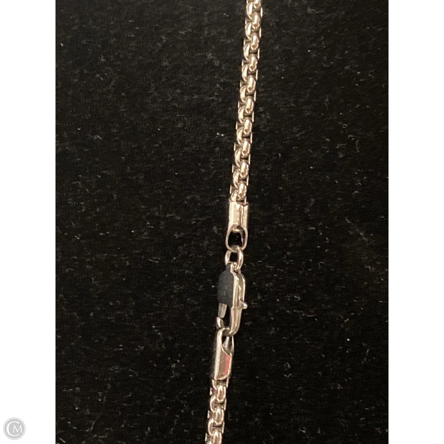 Necklace Chain By Clothes Mentor