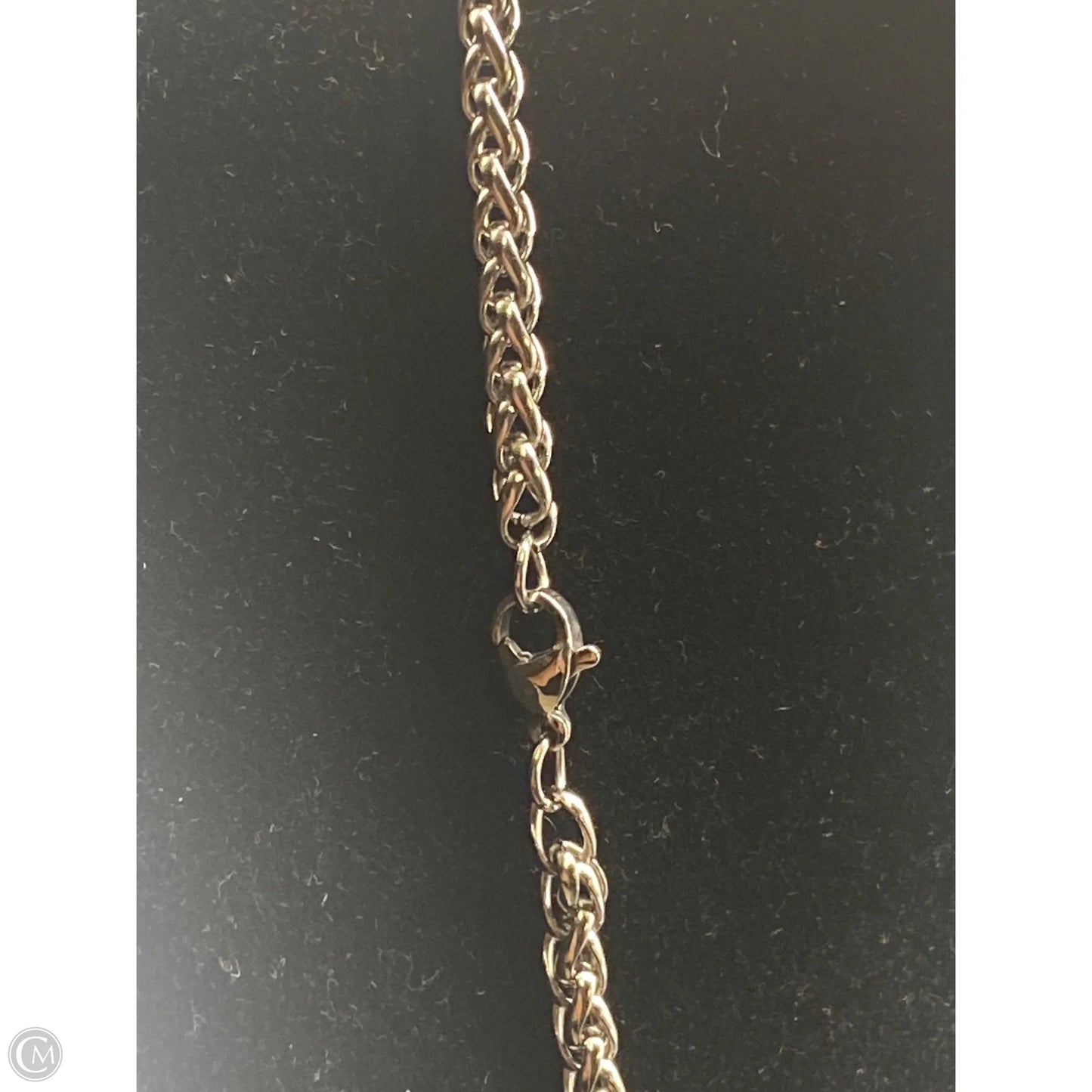Necklace Chain By Clothes Mentor