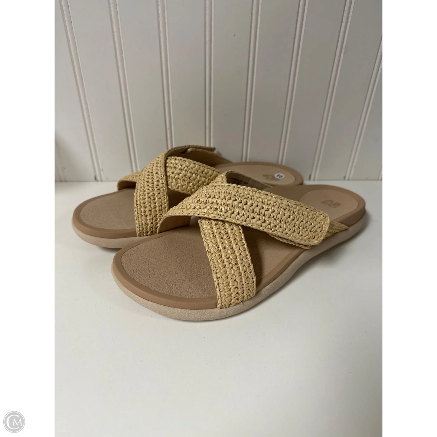 Sandals Flats By Abeo In Beige, Size: 10