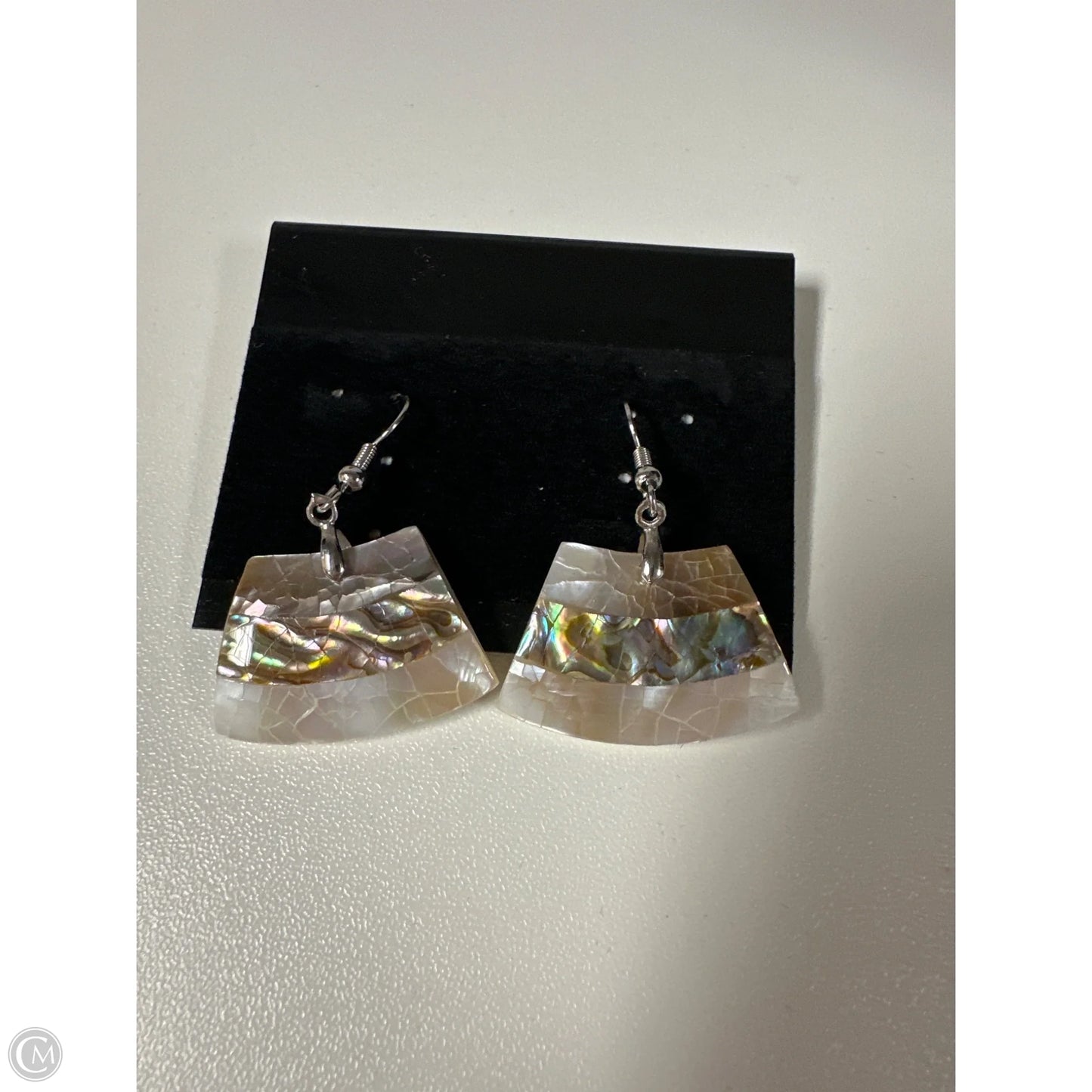 Earrings Dangle/drop By Clothes Mentor