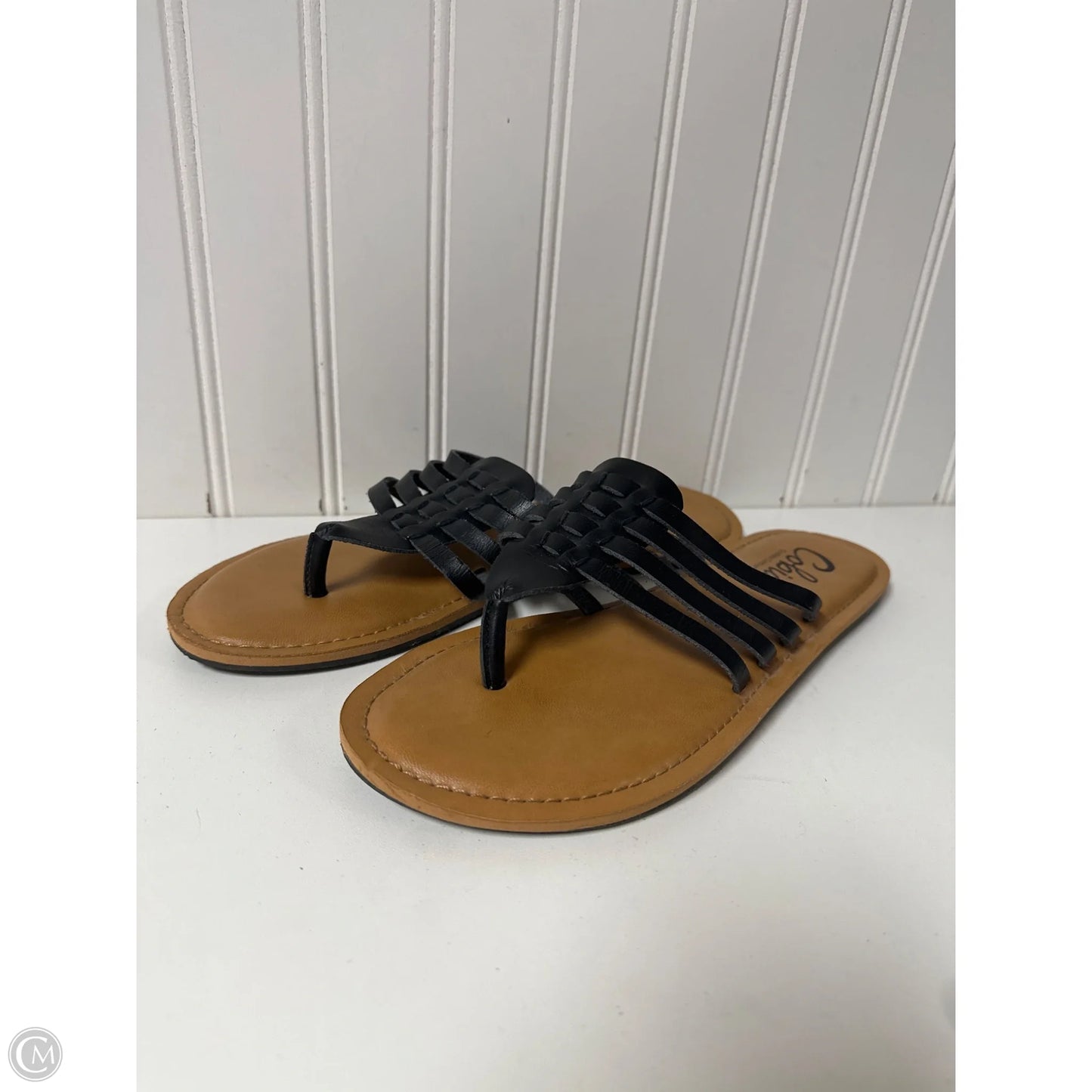 Sandals Flip Flops By Clothes Mentor In Black, Size: 9.5
