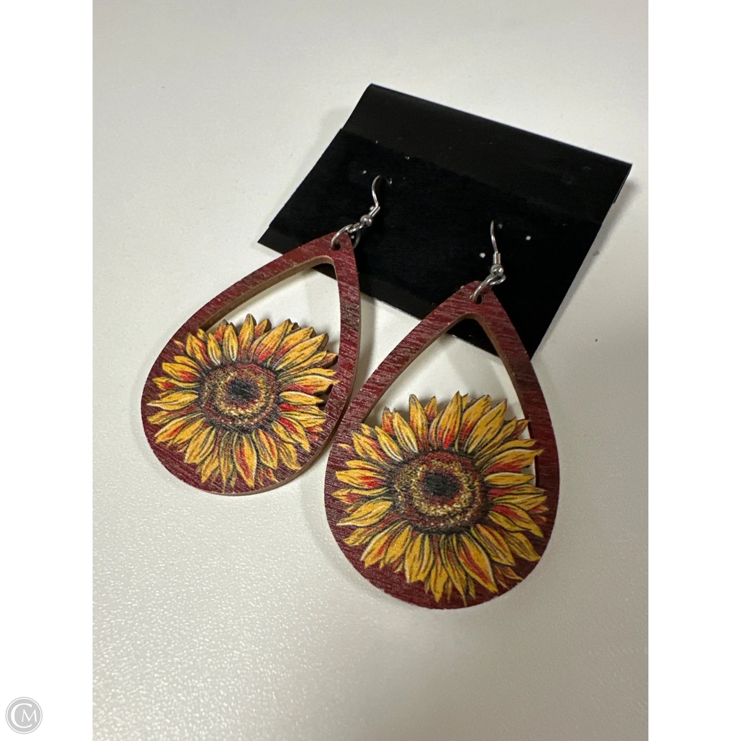 Earrings Dangle/drop By Clothes Mentor