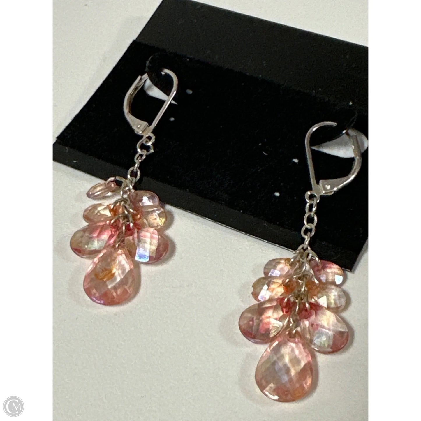 Earrings Dangle/drop By Clothes Mentor