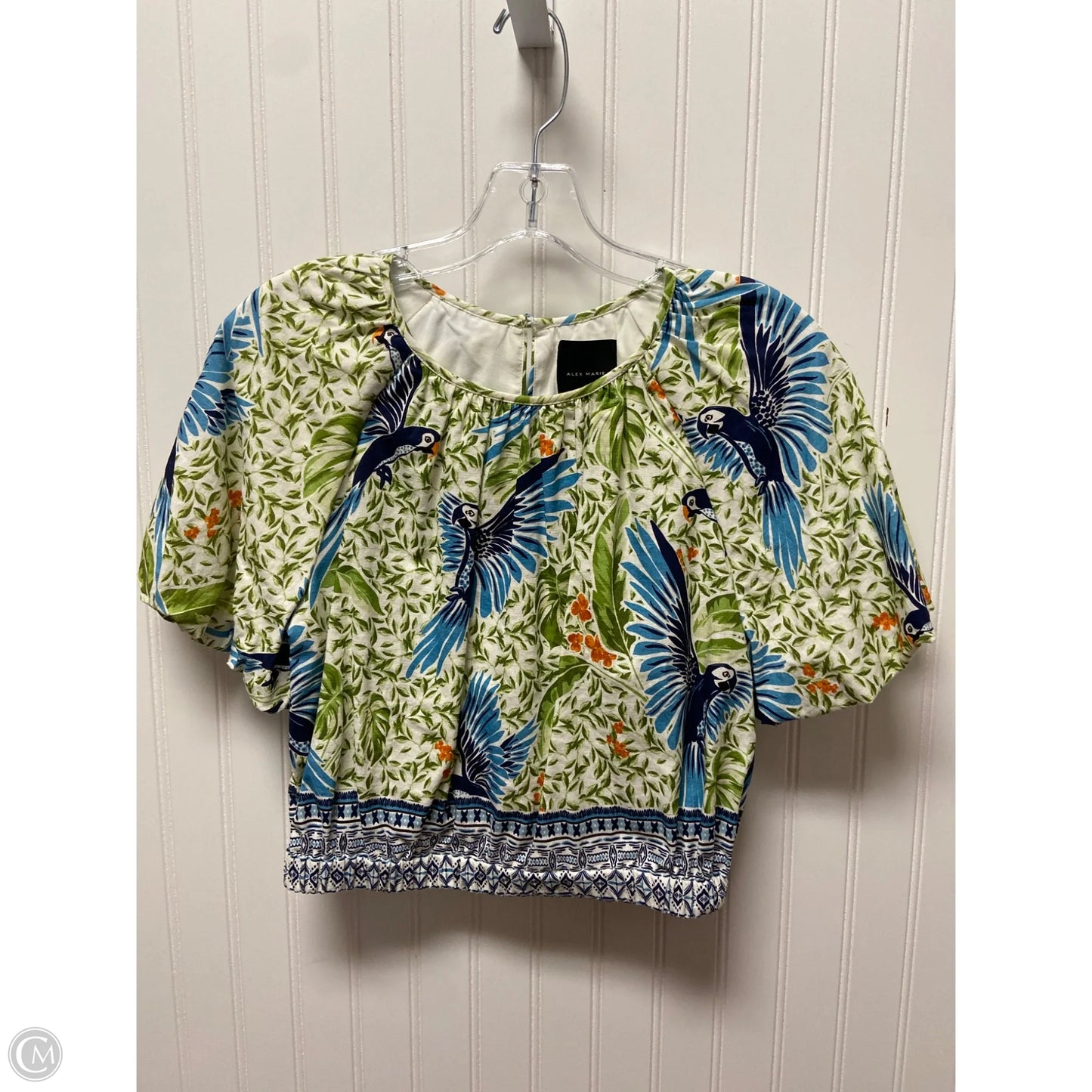Top Short Sleeve By Alex Marie In Cream & Green, Size: S