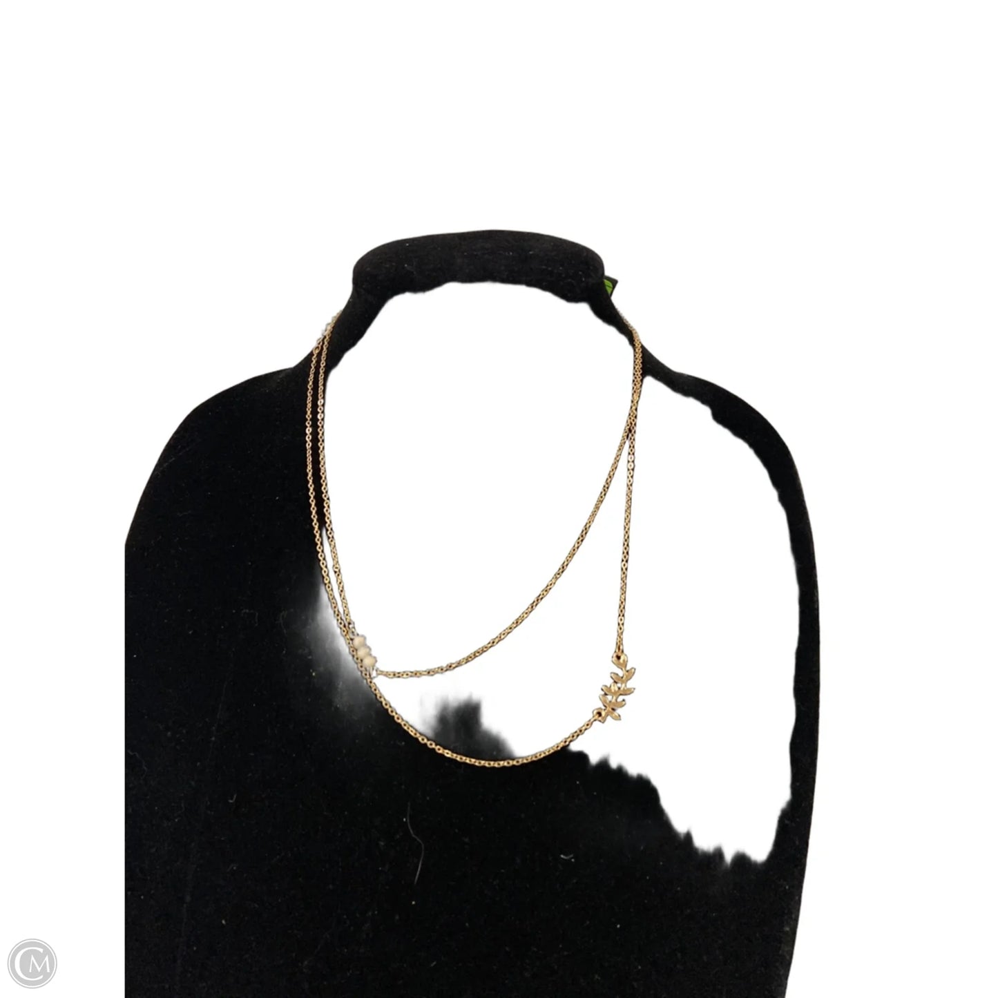 Necklace Chain By Clothes Mentor, Size: 02 Piece Set