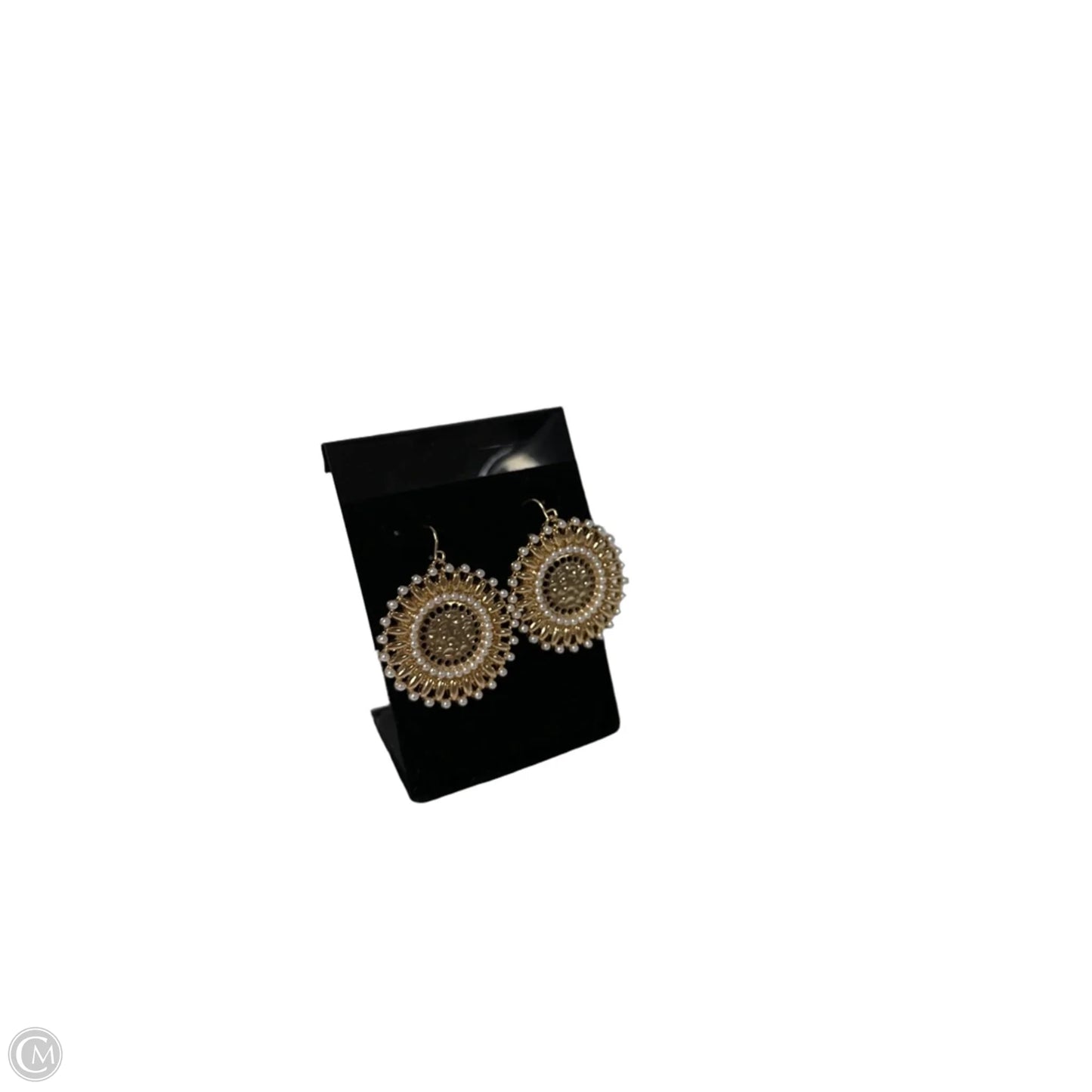 Earrings Dangle/drop By Clothes Mentor