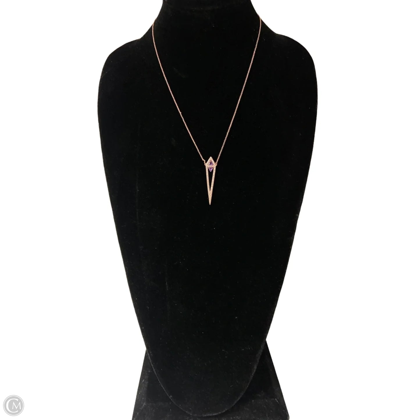Necklace Chain By Clothes Mentor