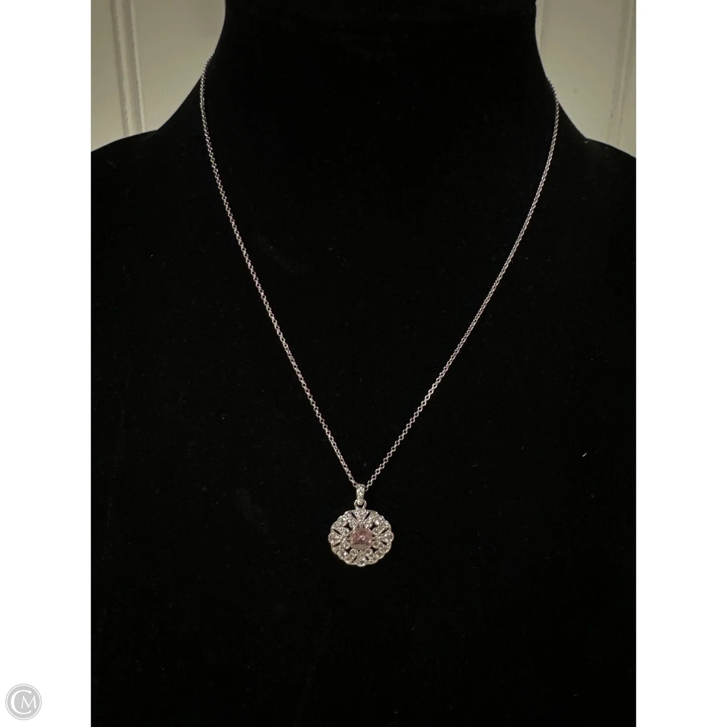 Necklace Chain By Clothes Mentor