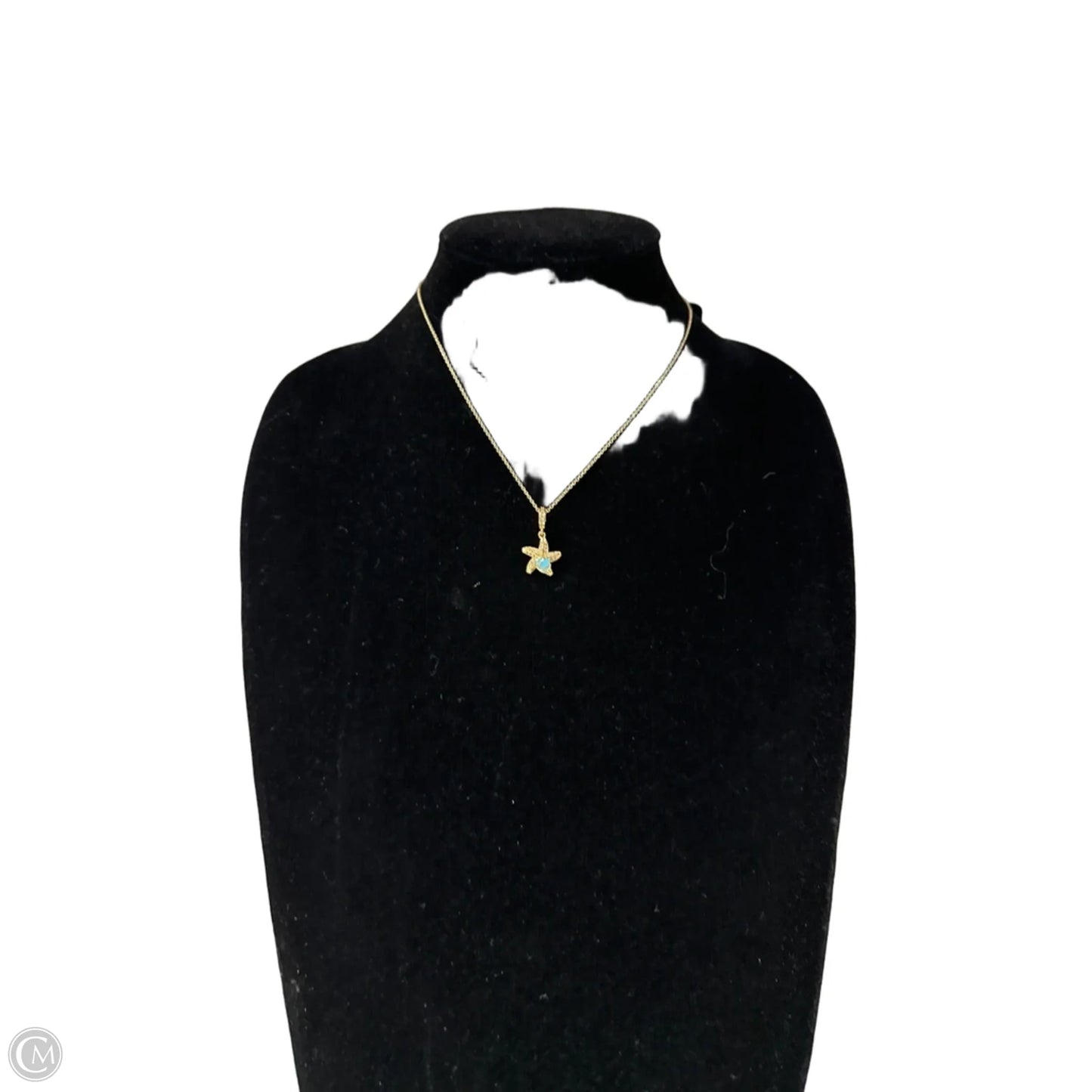 Necklace Pendant By Clothes Mentor, Size: 1