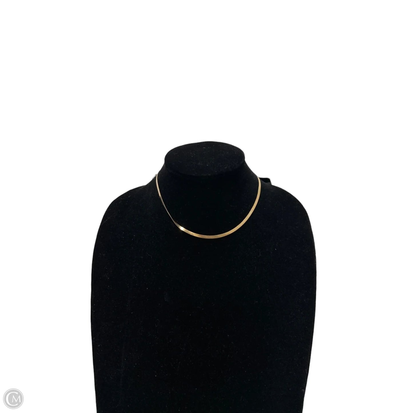 Necklace Chain By Clothes Mentor