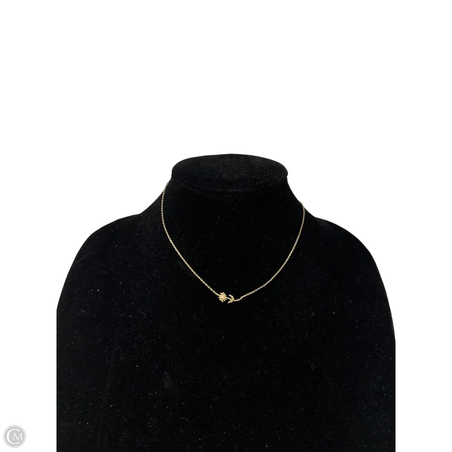 Necklace Other By Clothes Mentor, Size: 1