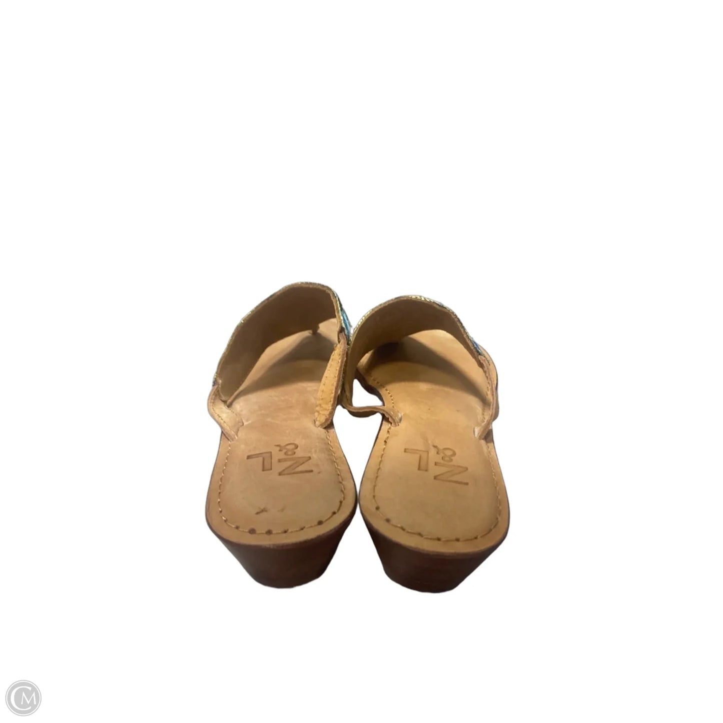 Sandals Flip Flops By Clothes Mentor In Blue & Green, Size: 9.5