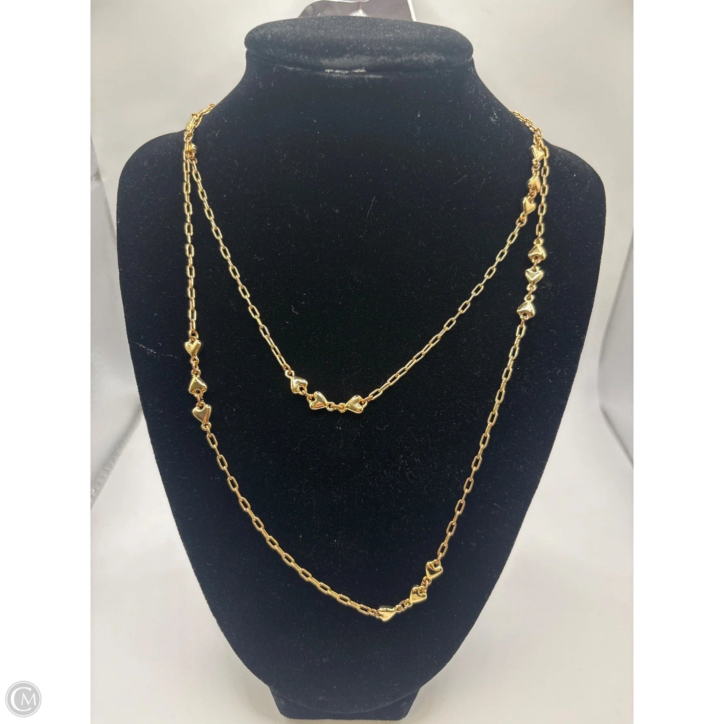 Necklace Chain By Ann Taylor, Size: 1