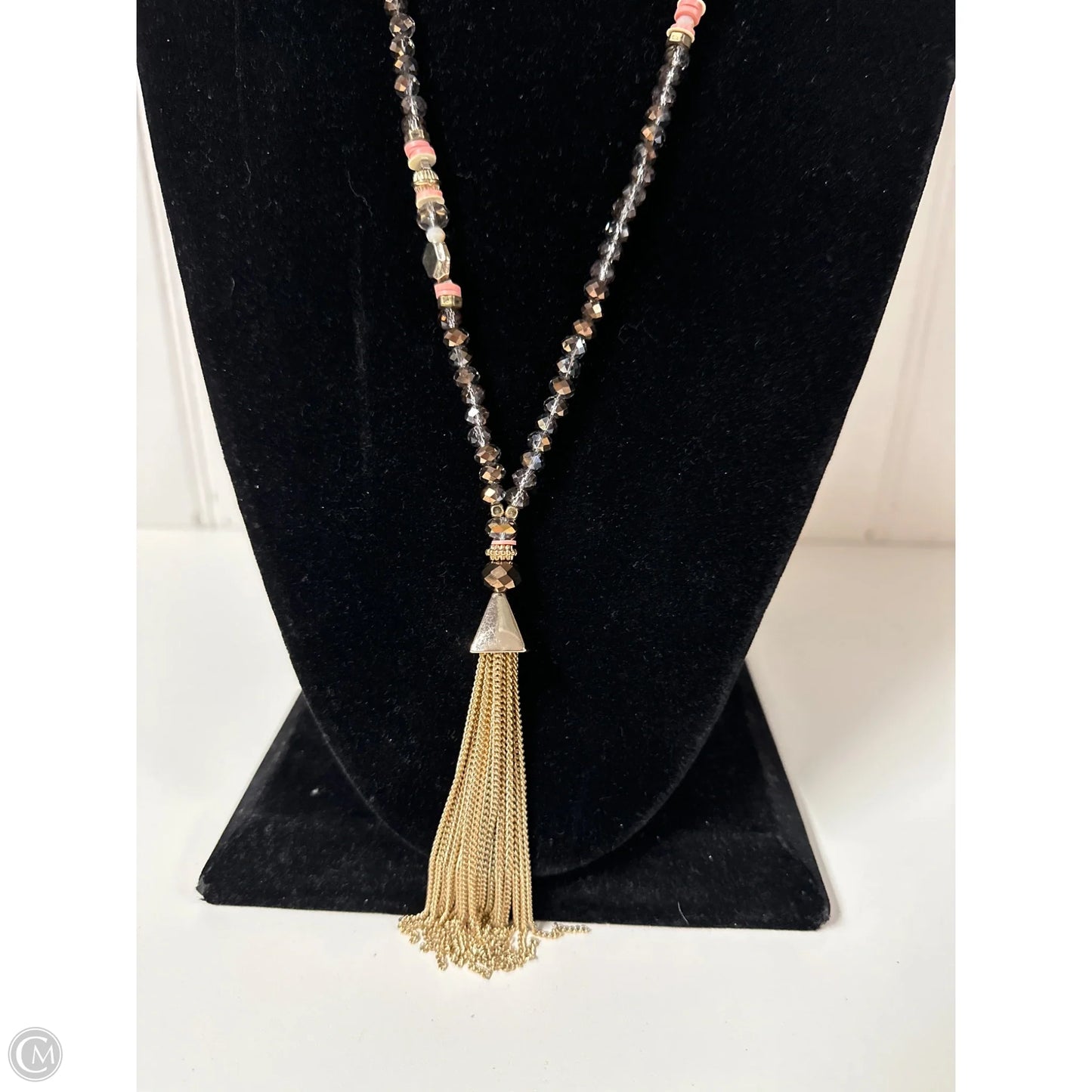 Necklace Lariat & Y-drop By Express, Size: 1
