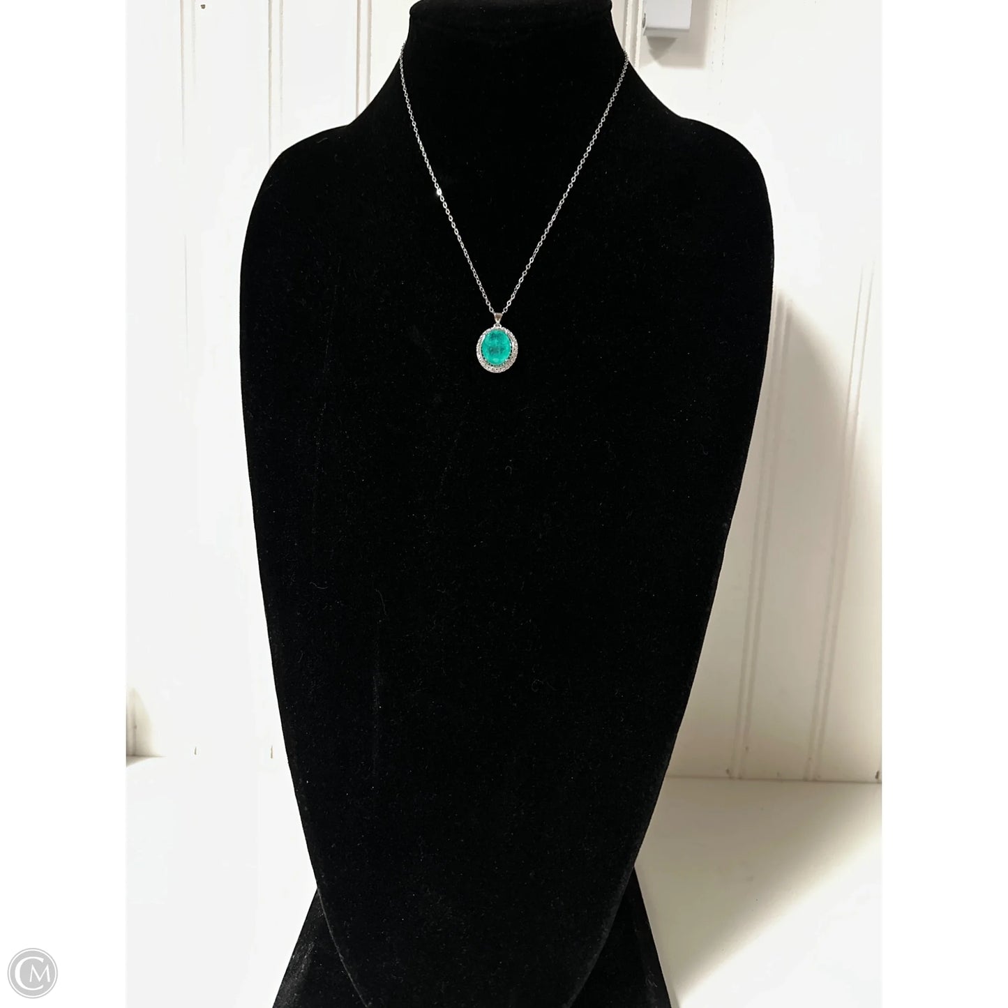 Necklace Pendant By Clothes Mentor, Size: 1