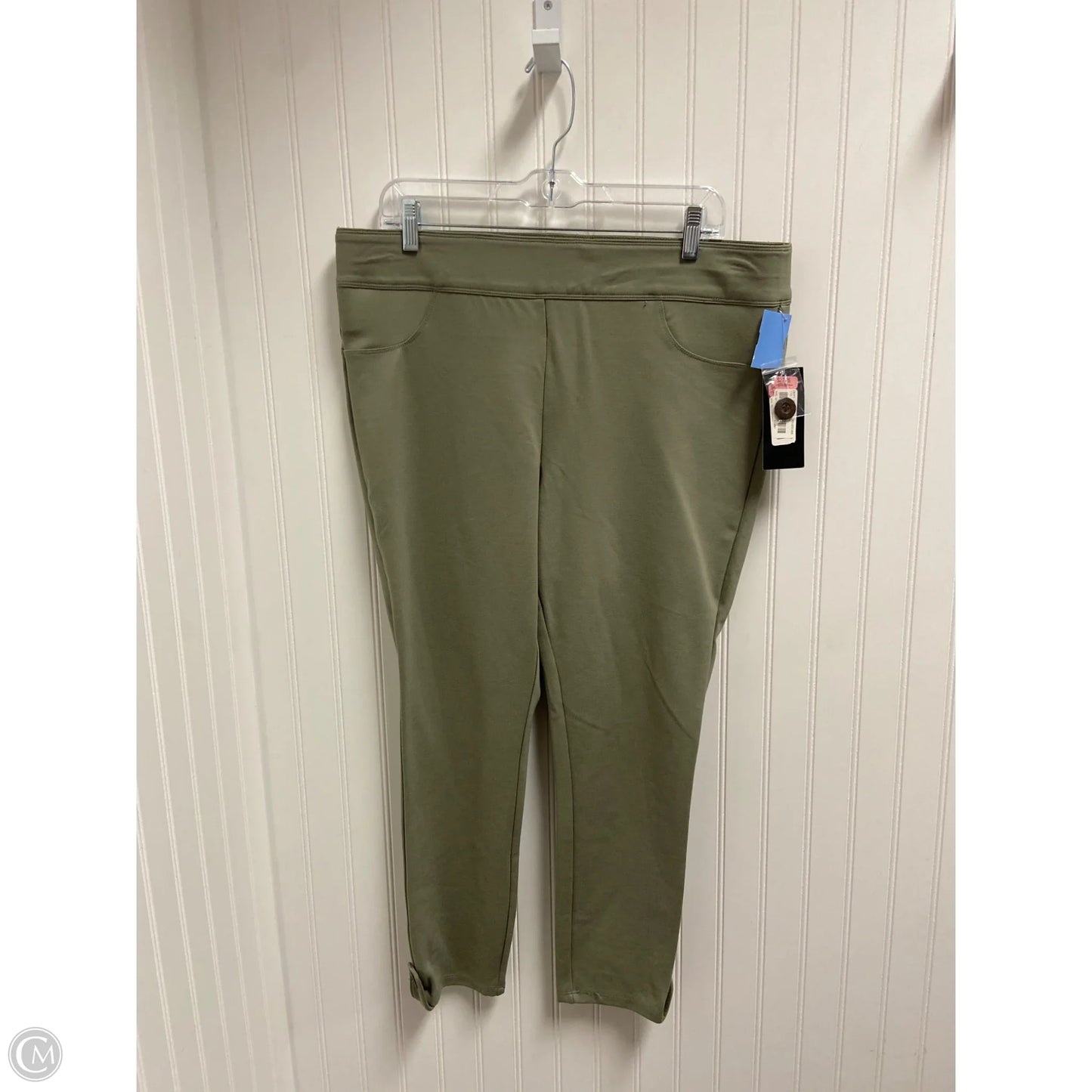 Pants Leggings By Investments In Green, Size: 1x