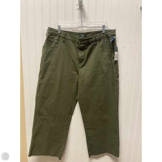 Pants Cropped By Wild Fable In Green, Size: 16