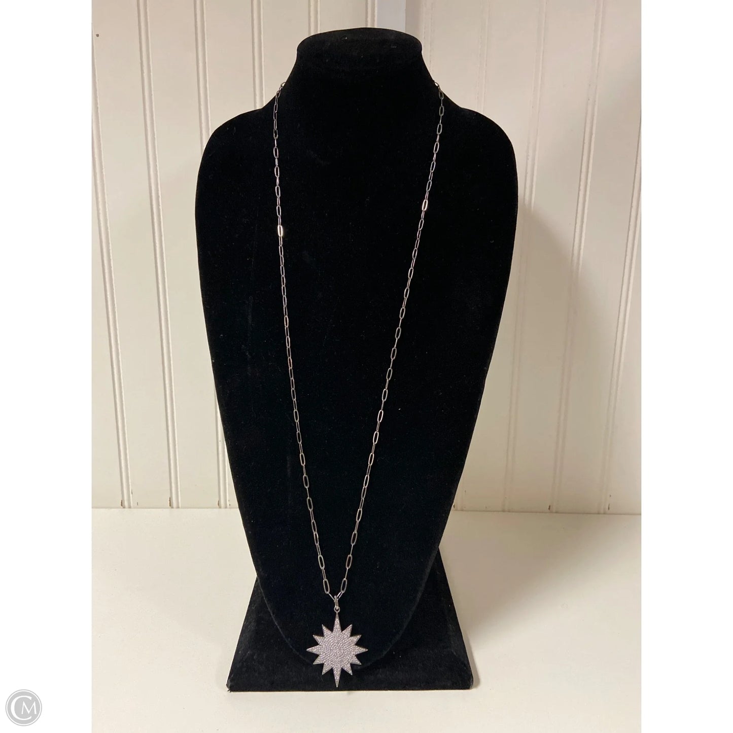 Necklace Pendant By Clothes Mentor, Size: 1