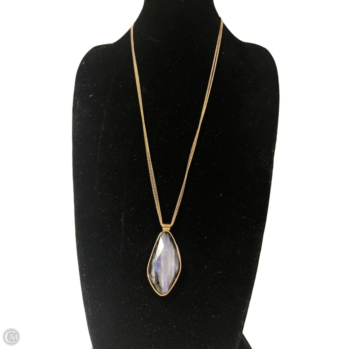 Necklace Pendant By Clothes Mentor