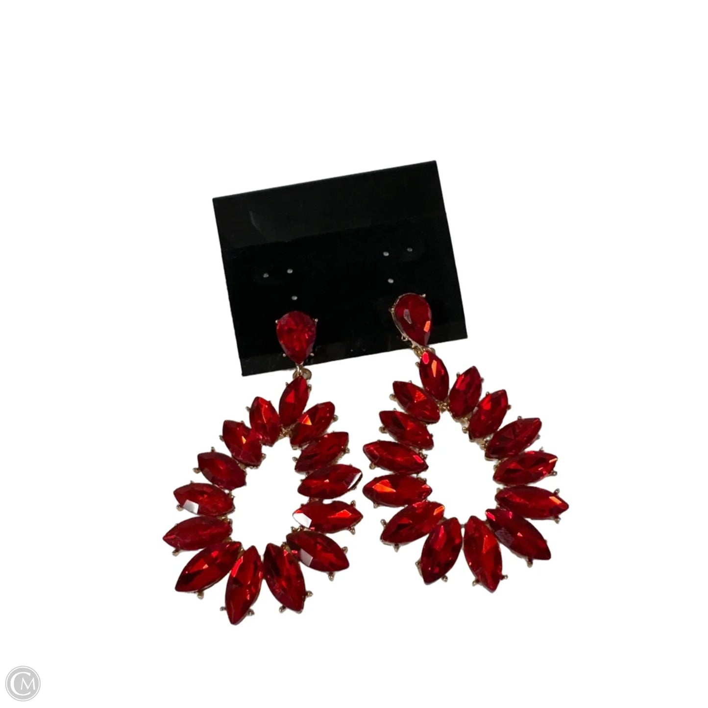 Earrings Dangle/drop By Clothes Mentor