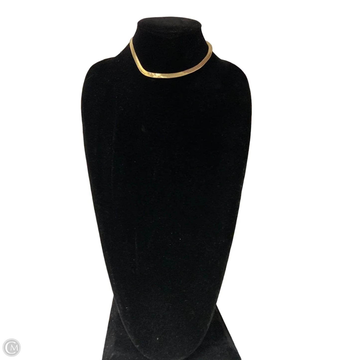 Necklace Chain By Clothes Mentor