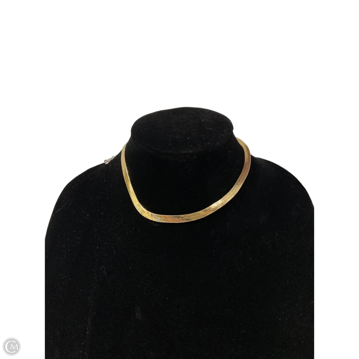 Necklace Chain By Clothes Mentor