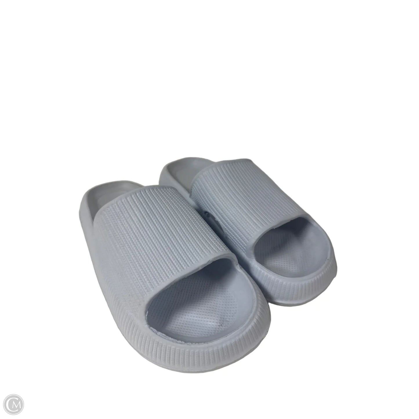 Sandals Sport By Clothes Mentor In Blue, Size: 7.5