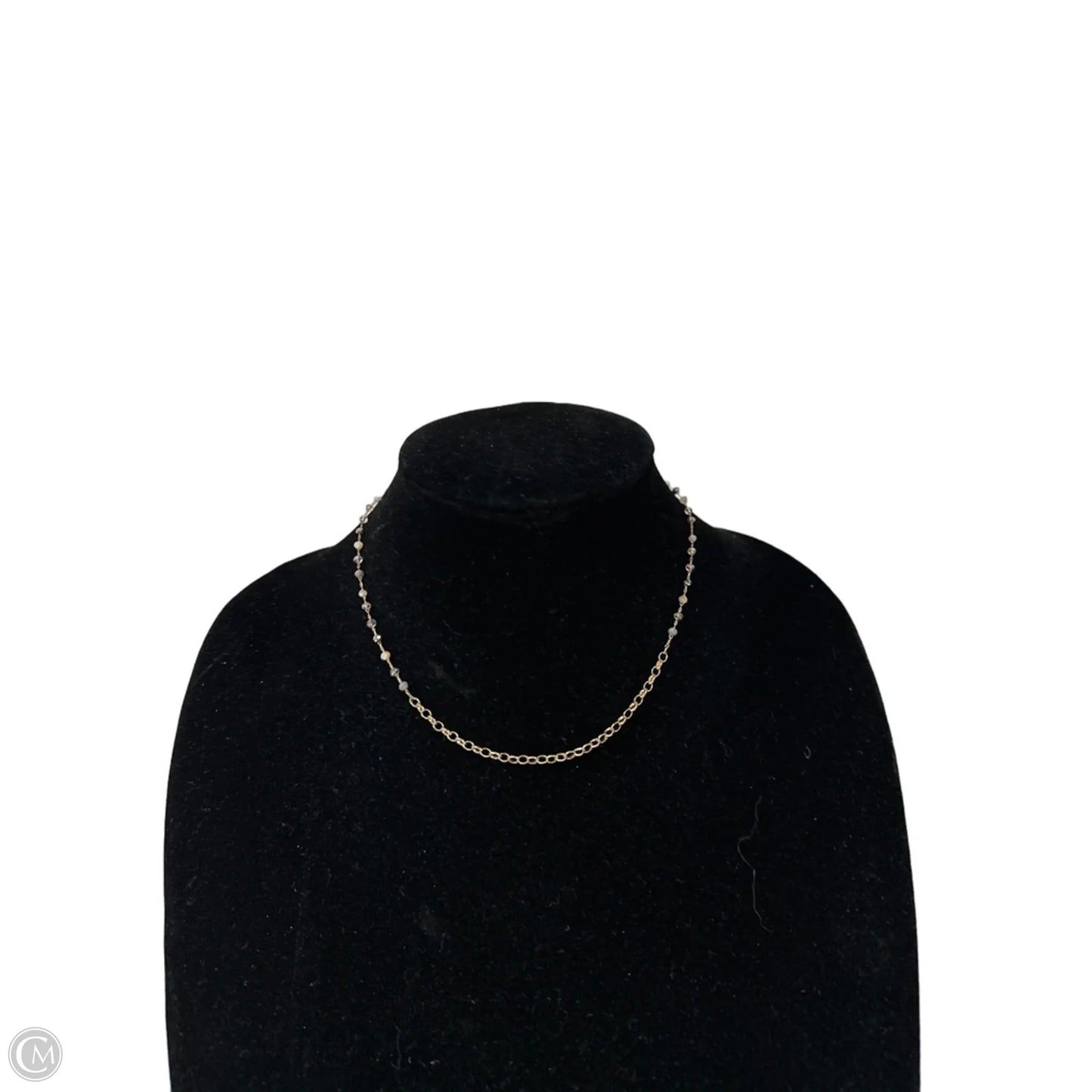 Necklace Layered By Clothes Mentor