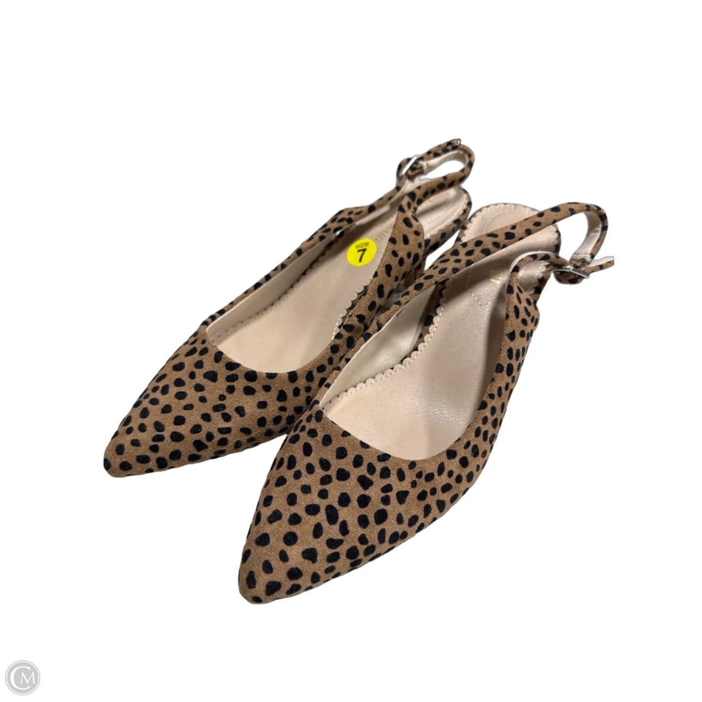 Shoes Heels Kitten By Isaac Mizrahi In Leopard Print, Size: 7