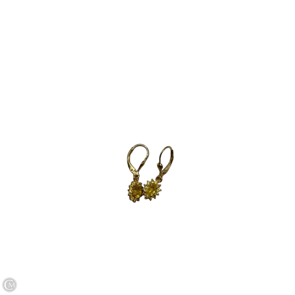 Earrings Dangle/drop By Clothes Mentor
