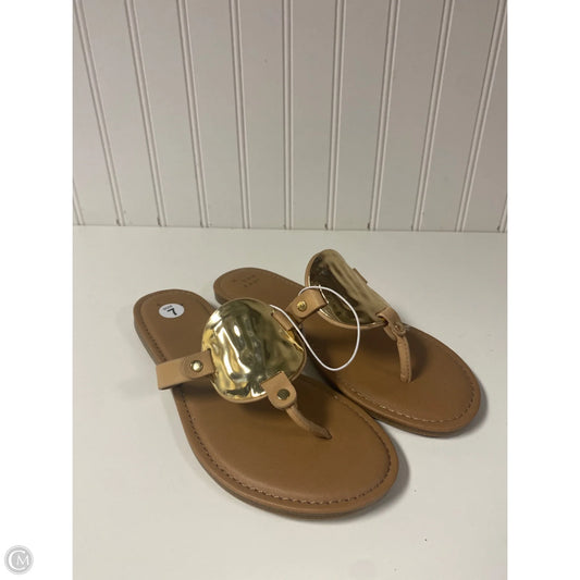 Sandals Flip Flops By A New Day In Tan, Size: 7