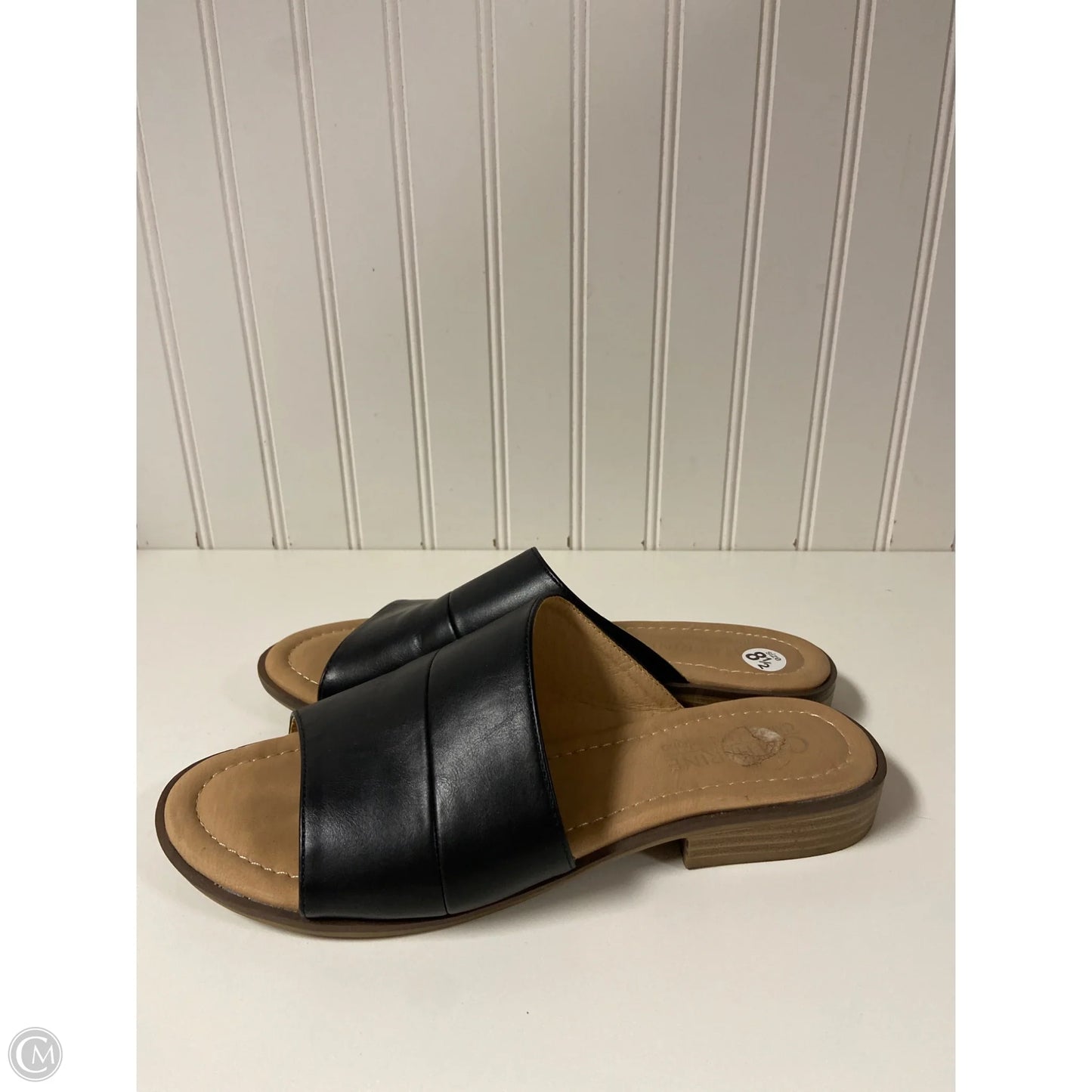 Sandals Flats By Catherine Malandrino In Black, Size: 8.5